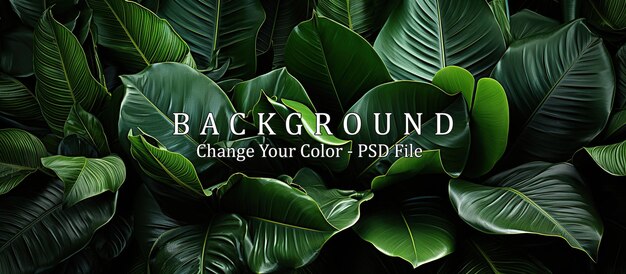 PSD grüner hintergrund tropische blätter textur top-view flachlag