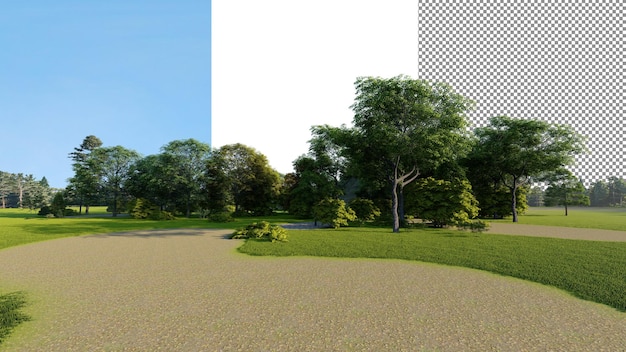 Grüner park transparenter hintergrund 3d-rendering