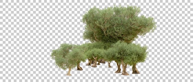 Grüner Wald isoliert auf dem Hintergrund 3D-Rendering-Illustration