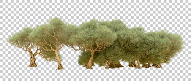 Grüner Wald isoliert auf dem Hintergrund 3D-Rendering-Illustration