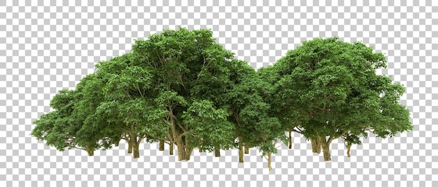 Grüner Wald isoliert auf dem Hintergrund 3D-Rendering-Illustration
