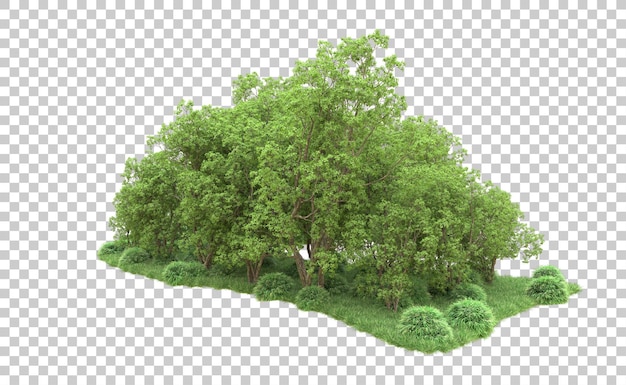 Grüner Wald isoliert auf dem Hintergrund 3D-Rendering-Illustration