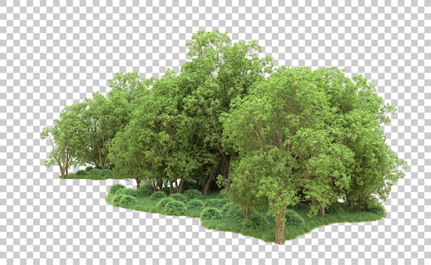 Grüner Wald isoliert auf dem Hintergrund 3D-Rendering-Illustration