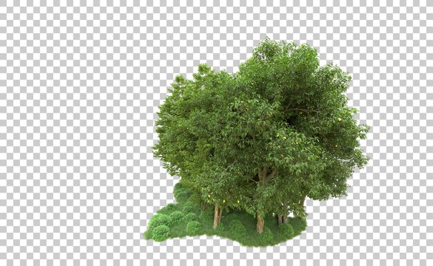 Grüner Wald isoliert auf dem Hintergrund 3D-Rendering-Illustration