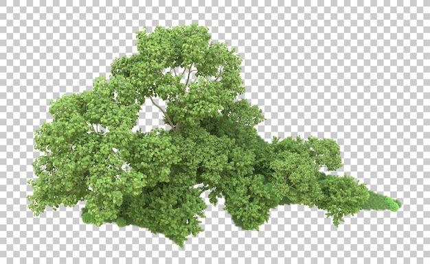 Grüner Wald isoliert auf dem Hintergrund 3D-Rendering-Illustration