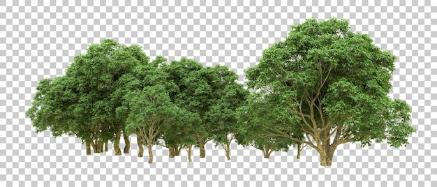 Grüner Wald isoliert auf dem Hintergrund 3D-Rendering-Illustration