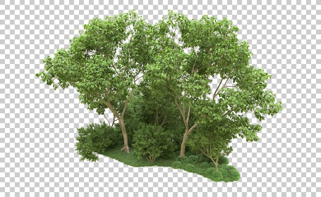 Grüner Wald isoliert auf dem Hintergrund 3D-Rendering-Illustration