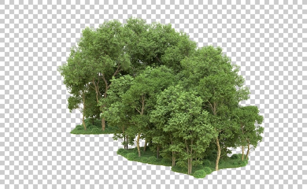 PSD grüner wald isoliert auf dem hintergrund 3d-rendering-illustration