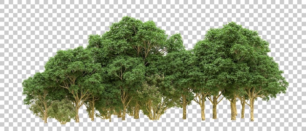 Grüner Wald isoliert auf dem Hintergrund 3D-Rendering-Illustration