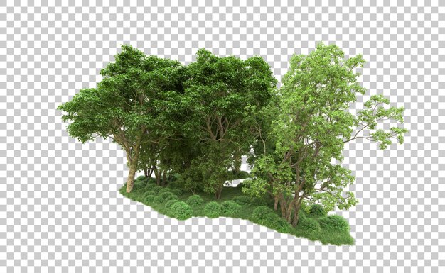 Grüner Wald isoliert auf dem Hintergrund 3D-Rendering-Illustration