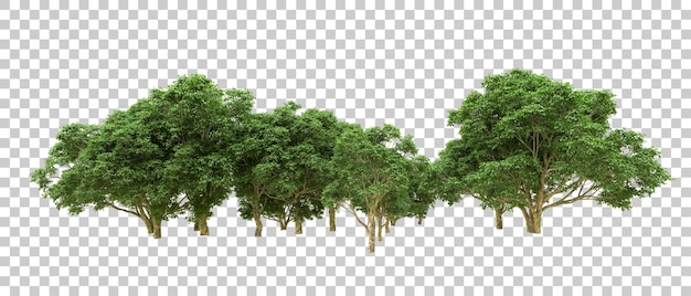 Grüner Wald isoliert auf dem Hintergrund 3D-Rendering-Illustration