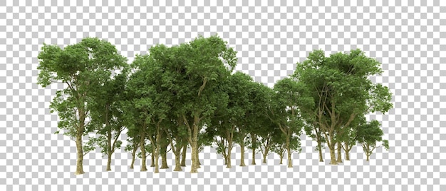 Grüner Wald isoliert auf dem Hintergrund 3D-Rendering-Illustration