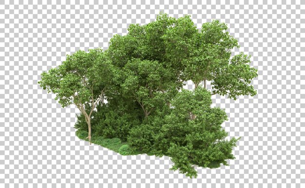 Grüner Wald isoliert auf dem Hintergrund 3D-Rendering-Illustration