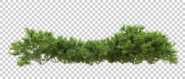 Grüner Wald isoliert auf dem Hintergrund 3D-Rendering-Illustration