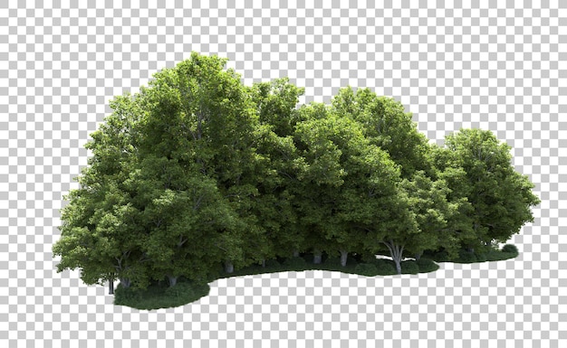 Grüner Wald isoliert auf dem Hintergrund 3D-Rendering-Illustration