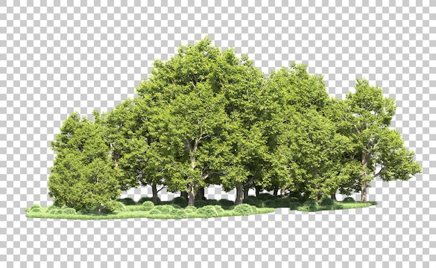 Grüner Wald isoliert auf dem Hintergrund 3D-Rendering-Illustration