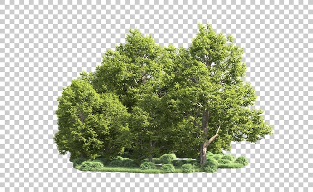 Grüner Wald isoliert auf dem Hintergrund 3D-Rendering-Illustration
