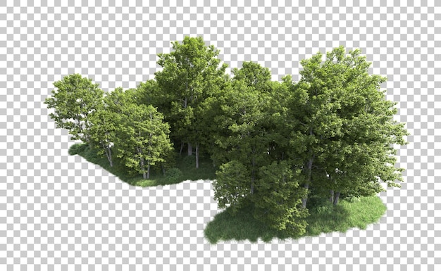 Grüner Wald isoliert auf dem Hintergrund 3D-Rendering-Illustration