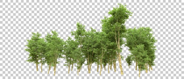 Grüner Wald isoliert auf dem Hintergrund 3D-Rendering-Illustration