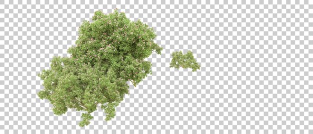 Grüner Wald isoliert auf dem Hintergrund 3D-Rendering-Illustration