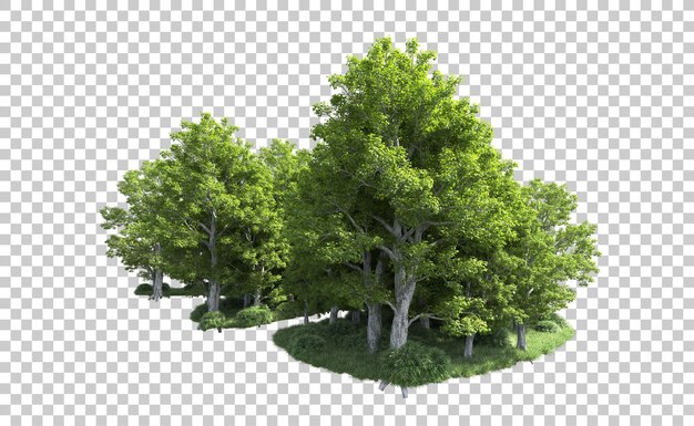 Grüner Wald isoliert auf dem Hintergrund 3D-Rendering-Illustration