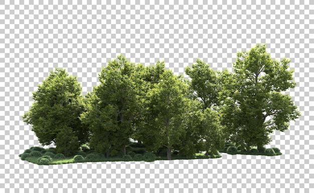 Grüner Wald isoliert auf dem Hintergrund 3D-Rendering-Illustration