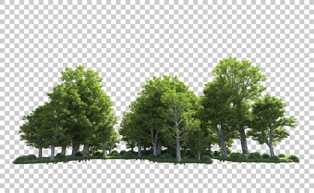 Grüner Wald isoliert auf dem Hintergrund 3D-Rendering-Illustration