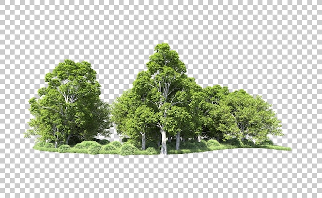 Grüner Wald isoliert auf dem Hintergrund 3D-Rendering-Illustration