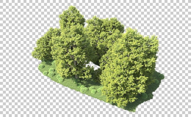 Grüner Wald isoliert auf dem Hintergrund 3D-Rendering-Illustration