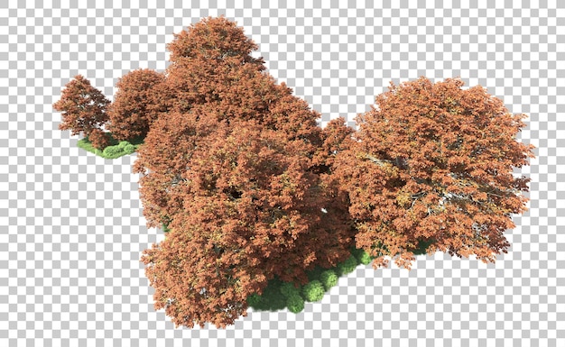 Grüner Wald isoliert auf dem Hintergrund 3D-Rendering-Illustration