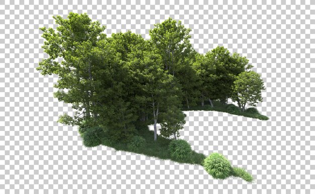 Grüner Wald isoliert auf dem Hintergrund 3D-Rendering-Illustration