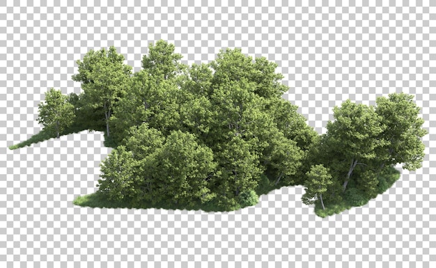 Grüner Wald isoliert auf dem Hintergrund 3D-Rendering-Illustration
