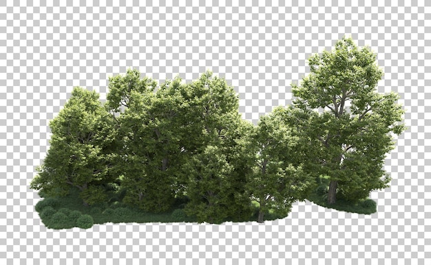 PSD grüner wald isoliert auf dem hintergrund 3d-rendering-illustration