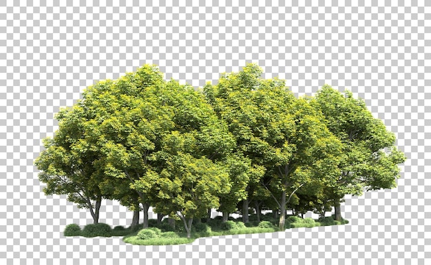 Grüner Wald isoliert auf dem Hintergrund 3D-Rendering-Illustration