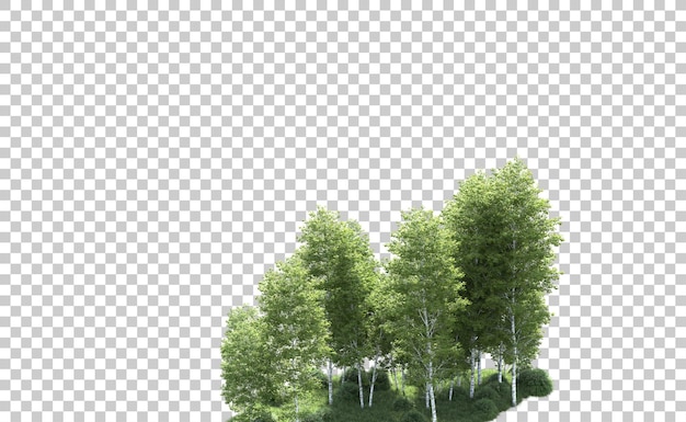 Grüner wald isoliert auf dem hintergrund 3d-rendering-illustration