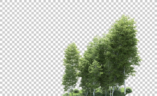 Grüner Wald isoliert auf dem Hintergrund 3D-Rendering-Illustration