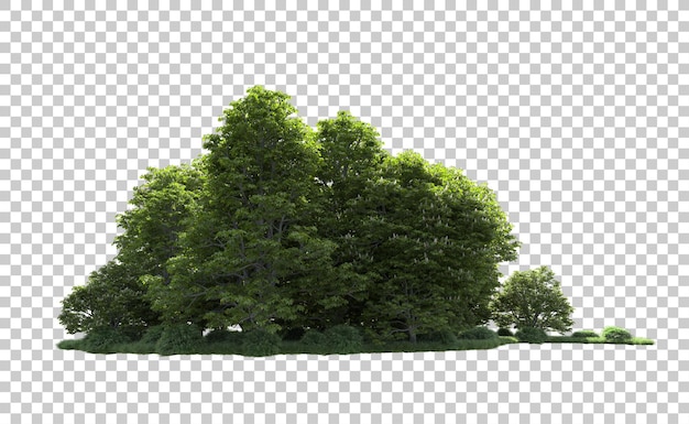 Grüner Wald isoliert auf dem Hintergrund 3D-Rendering-Illustration