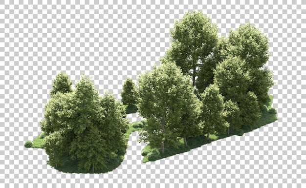Grüner Wald isoliert auf dem Hintergrund 3D-Rendering-Illustration