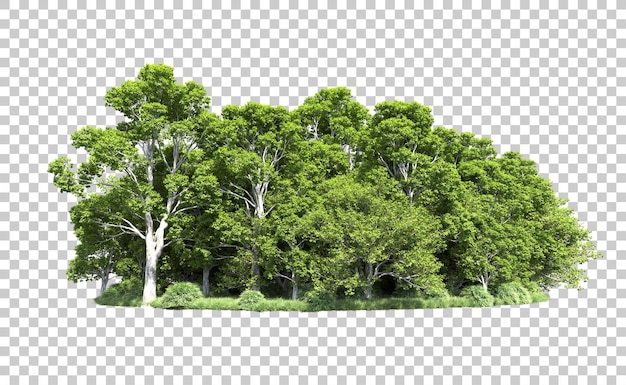 Grüner Wald isoliert auf dem Hintergrund 3D-Rendering-Illustration
