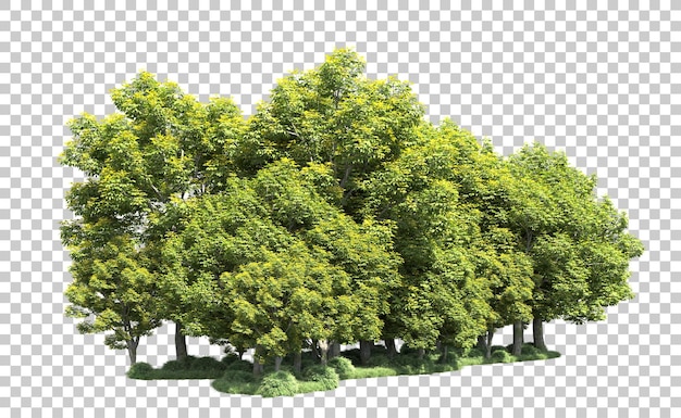 Grüner wald isoliert auf dem hintergrund 3d-rendering-illustration