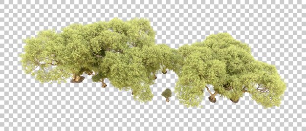 Grüner Wald isoliert auf dem Hintergrund 3D-Rendering-Illustration