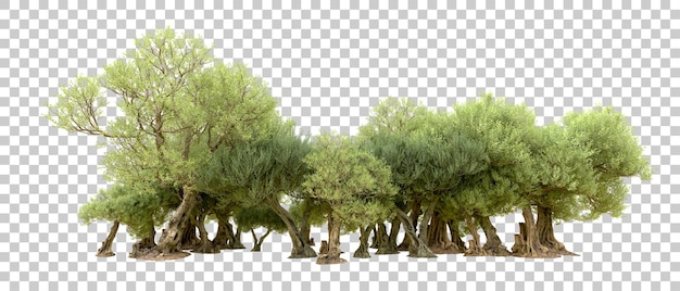 Grüner Wald isoliert auf dem Hintergrund 3D-Rendering-Illustration