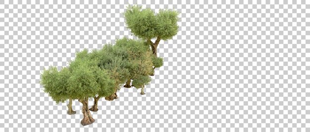 Grüner Wald isoliert auf dem Hintergrund 3D-Rendering-Illustration