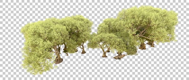 Grüner Wald isoliert auf dem Hintergrund 3D-Rendering-Illustration
