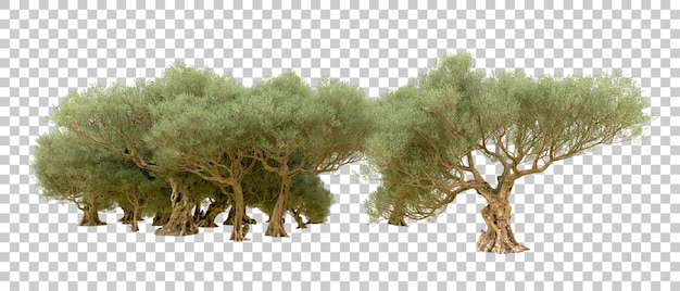 Grüner Wald isoliert auf dem Hintergrund 3D-Rendering-Illustration
