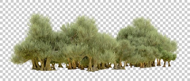 Grüner Wald isoliert auf dem Hintergrund 3D-Rendering-Illustration