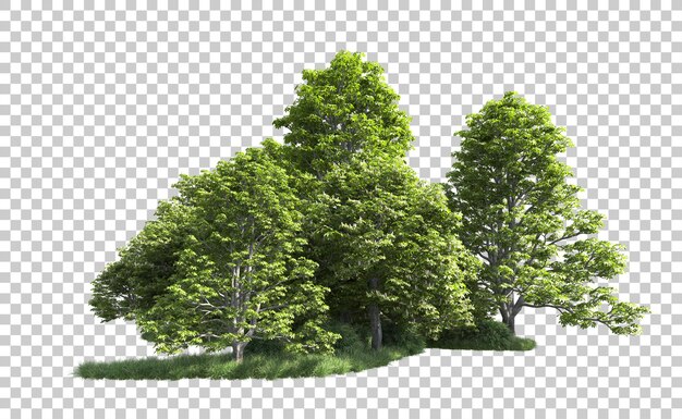 Grüner Wald isoliert auf dem Hintergrund 3D-Rendering-Illustration