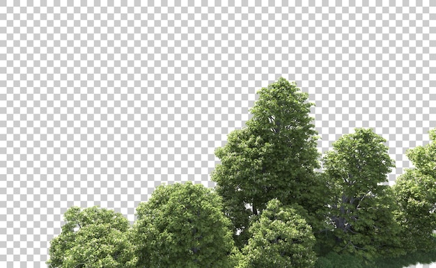 Grüner Wald isoliert auf dem Hintergrund 3D-Rendering-Illustration