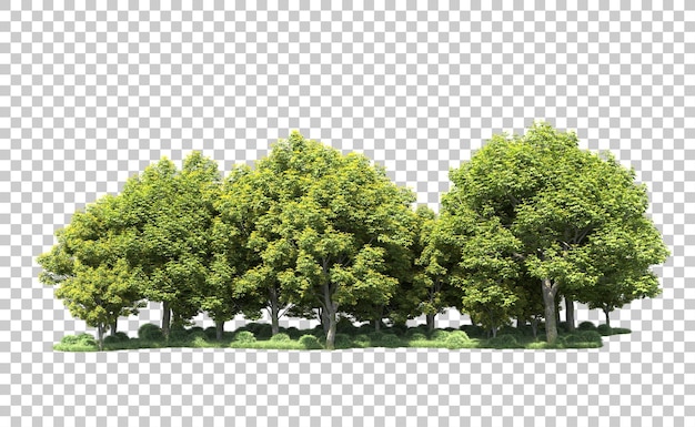 Grüner Wald isoliert auf dem Hintergrund 3D-Rendering-Illustration