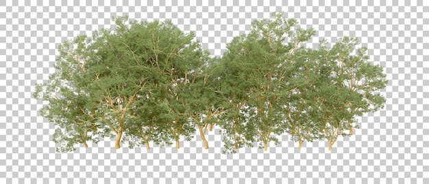 Grüner Wald isoliert auf dem Hintergrund 3D-Rendering-Illustration